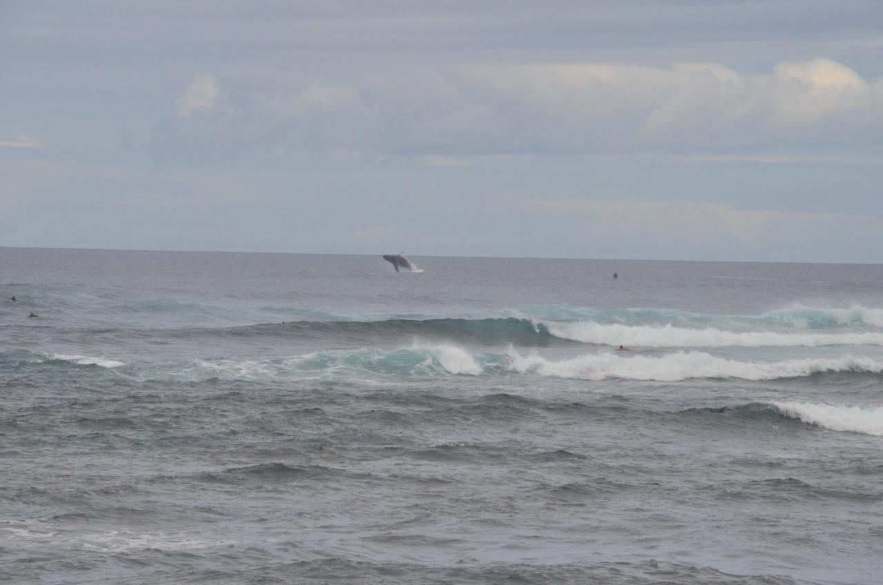 Mokule'Ia Beach Houses At Owen'S Retreat Waialua Esterno foto