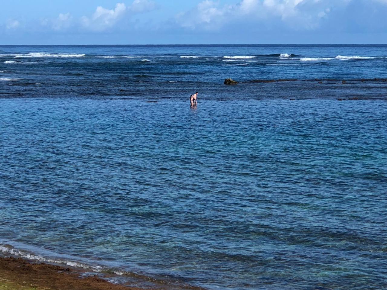 Mokule'Ia Beach Houses At Owen'S Retreat Waialua Esterno foto